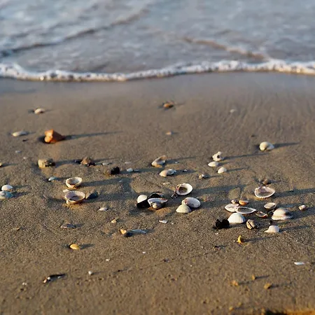 Apartman Center Walk To Sea