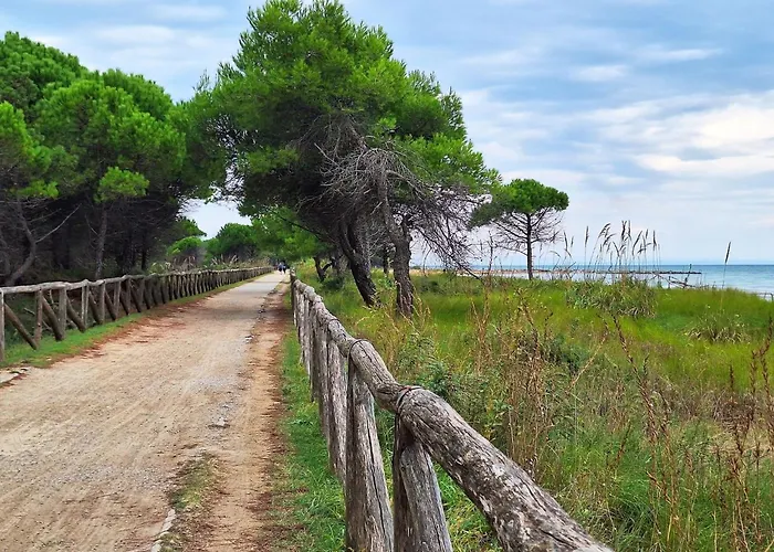 Center Walk To Sea Bibione