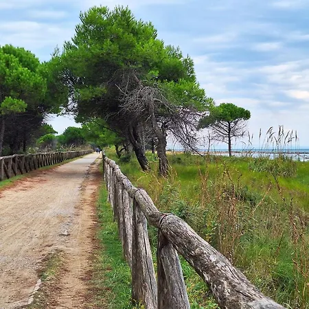 Center Walk To Sea Bibione