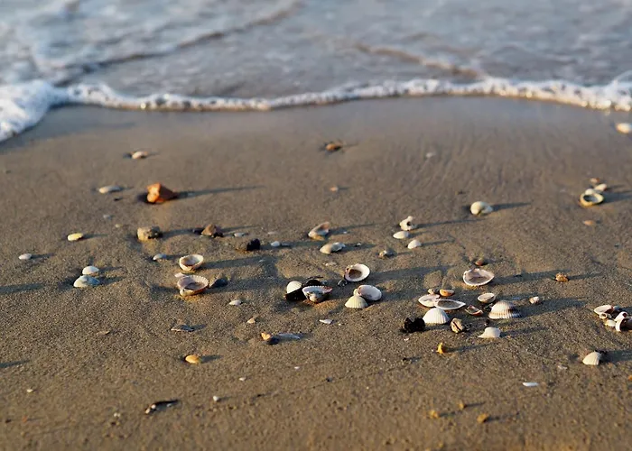 Apartment Center Walk To Sea